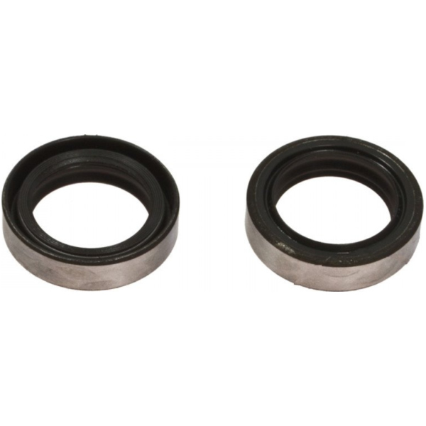 Fork oil seal kit - ari ARI016 fitting for Ering Warrior  125 BT125-12C 2007, 6,3 PS, 4,7 kw