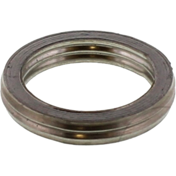 Exhaust gasket S410210012084