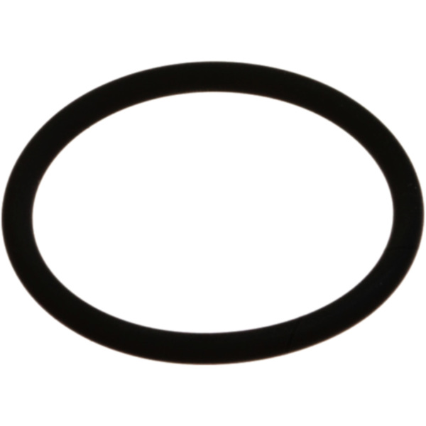 Exhaust gasket o-ring M753504156094