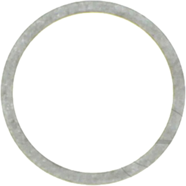 Exhaust gasket S410510012039