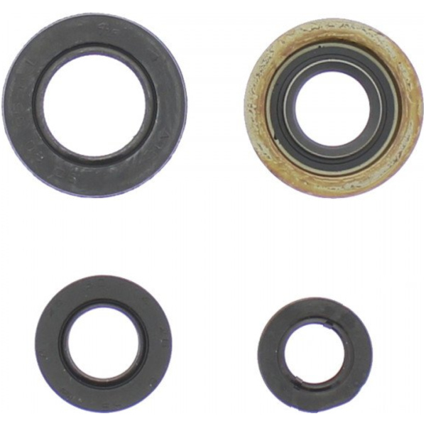 Engine oil seal kit P400485400136