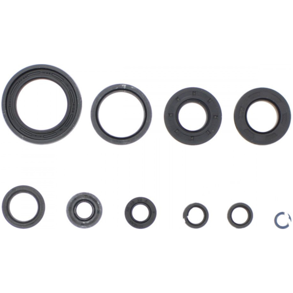 Engine oil seal kit P400485400267