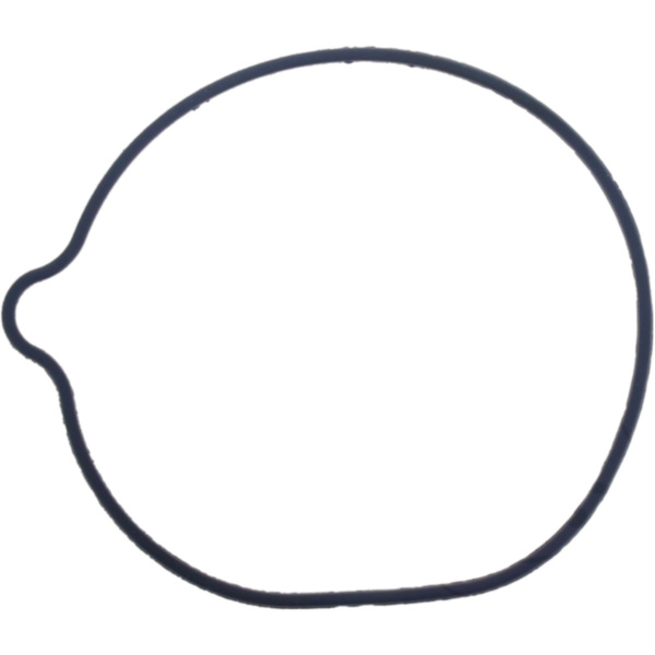 Water pump seal S410210024033