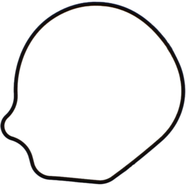 Water pump gasket fitting for Honda NT Deauville 650 RC47C 2000, 34 PS, 25 kw
