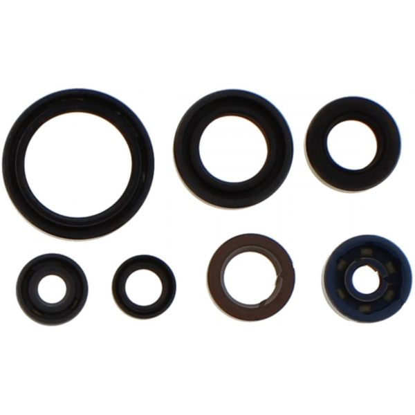 Engine oil seal kit P400485400187