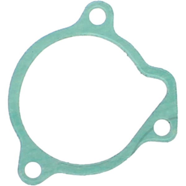 Oil filter gasket