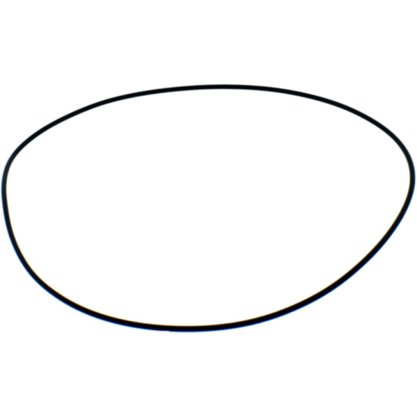 Clutch cover gasket (small)