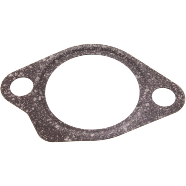 Dichtung Steuerkettenspanner für: Yamaha Originalersatzteil 1WS-12213-00