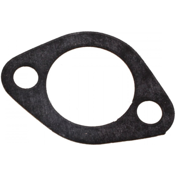 Cam chain tensioner gasket