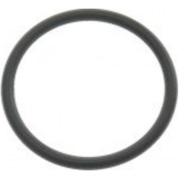 Cylinder head o ring