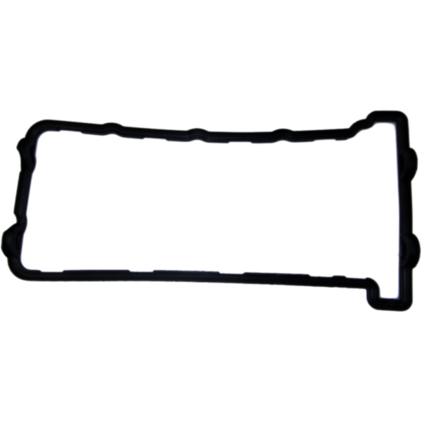 Valve cover gasket (orig spare part) 110610156