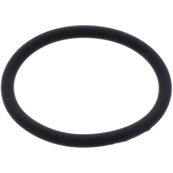 Exhaust gasket o-ring athena