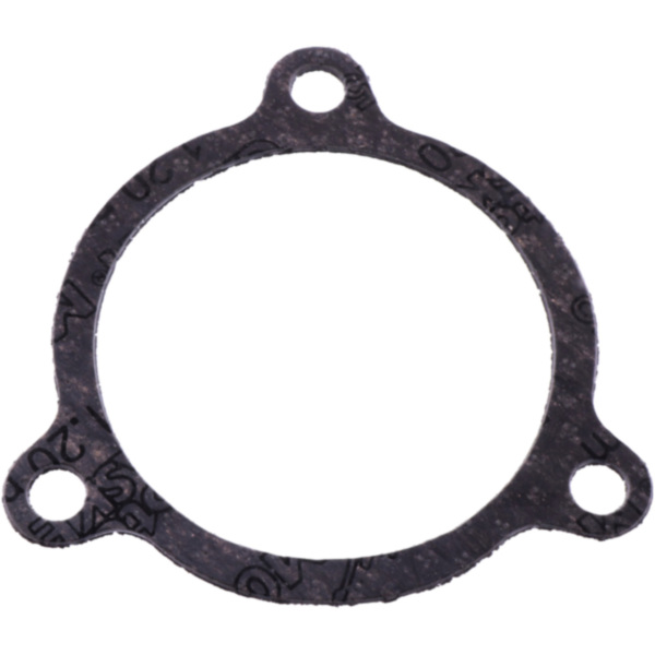 Exhaust gasket athena S410210012028