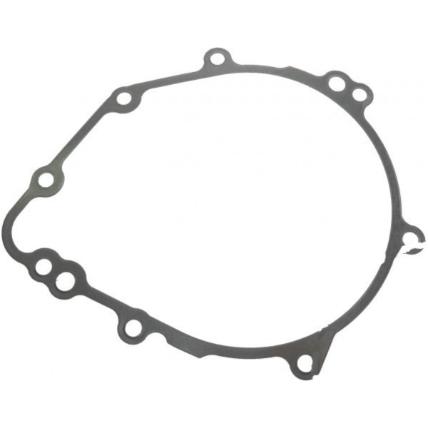 Lichtmaschinendeckeldichtung Originalersatzteil 110610945