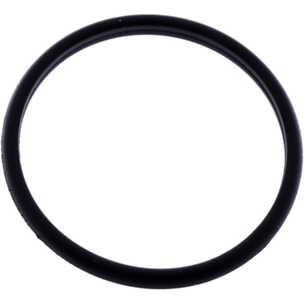 Exhaust gasket S410510012009
