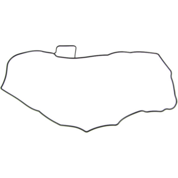 Valve cover gasket (orig spare part) 110610007