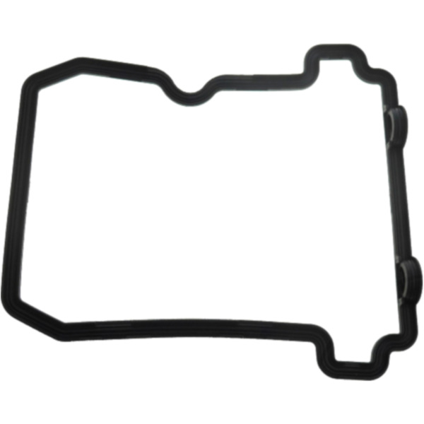 Valve cover gasket (orig spare part) 110610282