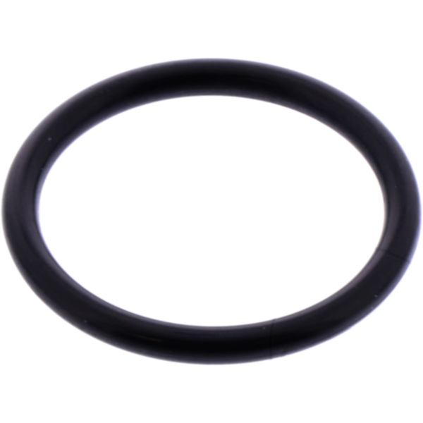 Cam chain tensioner gasket athena M752001800004