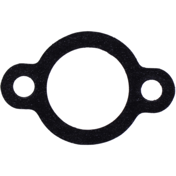 Cam chain tensioner gasket athena S410510078001_1