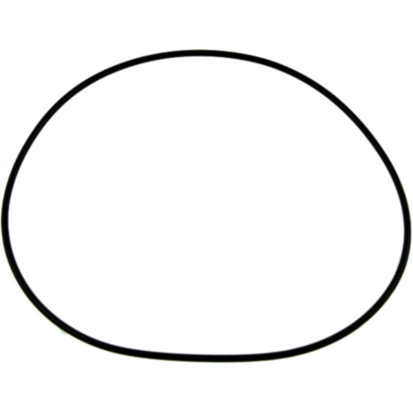 O-Ring 2.62X138MM