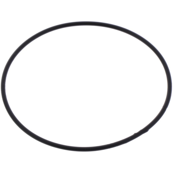 Anlasserdeckeldichtung O-Ring Originalersatzteil 91309GB2701