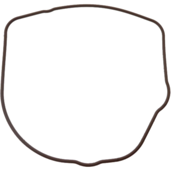 Valve cover gasket (orig spare part) 976609