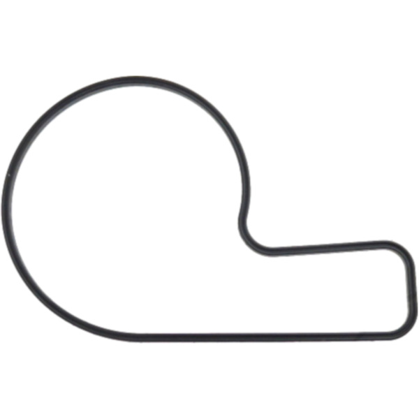 Dicht water pump cover (orig spare part) 976628