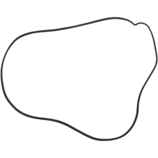 Clutch cover gasket (orig spare part) 976655 fitting for KTM RC8  1190  2008, 154 PS, 113 kw