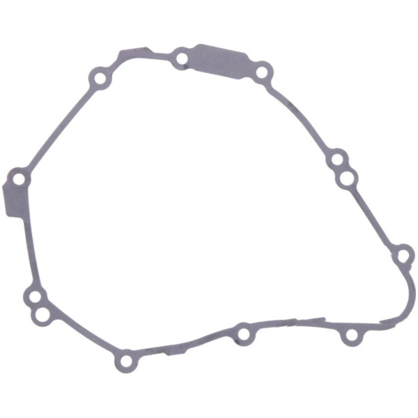 Alternator cover gasket (orig spare part) 999875