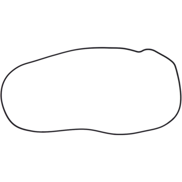 Clutch cover gasket (orig spare part) 1013379