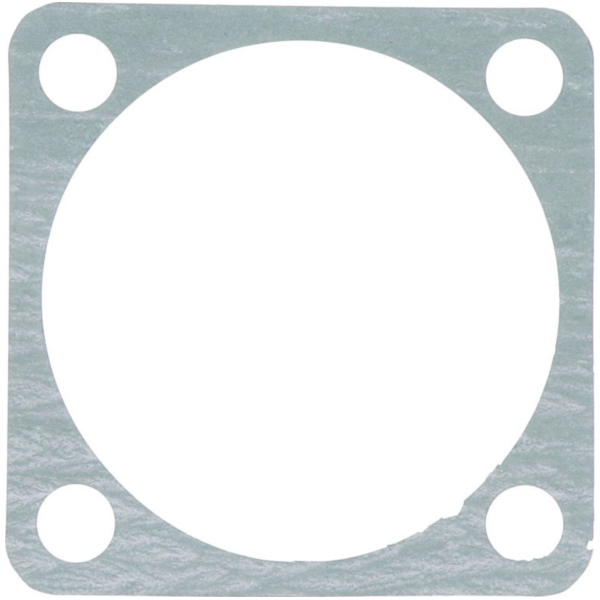 Water pump cover gasket athena