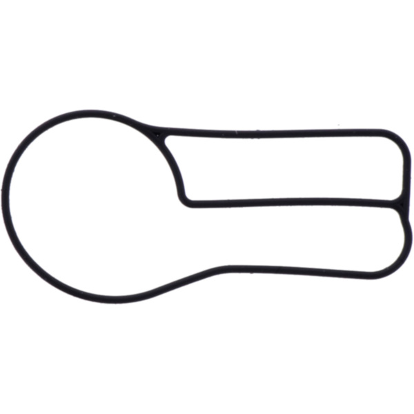 Water pump cover gasket athena 1040395