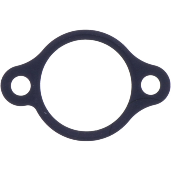 Cam chain tensioner gasket athena 1040412