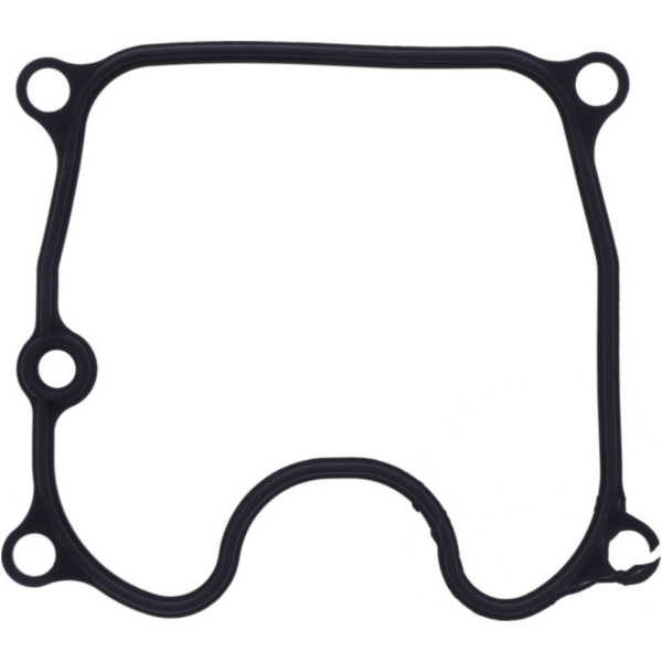 Ventildeckeldichtung Originalersatzteil 1054918