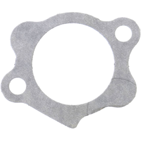 Start cover gasket athena S410195021001