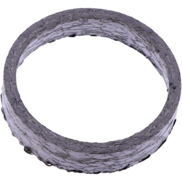 Exhaust gasket (orig spare part) 1074192