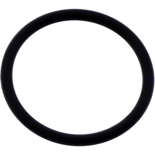 Exhaust gasket 1100938_1