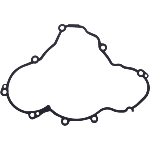 Ignition cover gasket (orig spare part) 1105126
