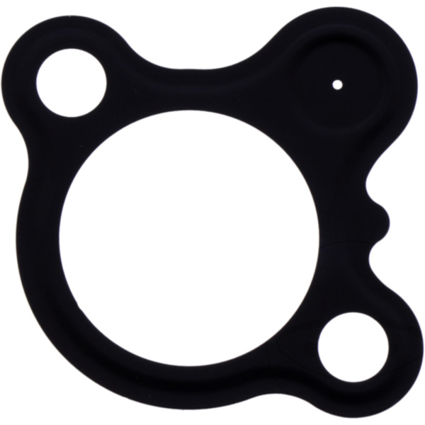 Cam chain tensioner gasket (orig spare part) 1105870