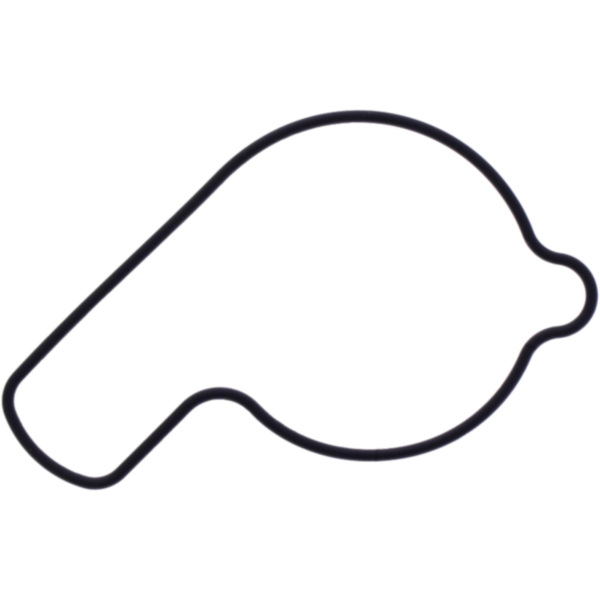 Water pump cover gasket oe spare part 1109048