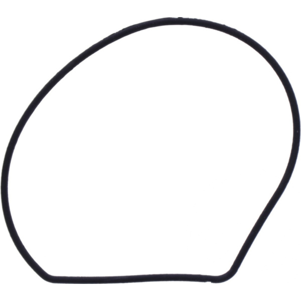 Water pump cover gasket oe spare part 1109055