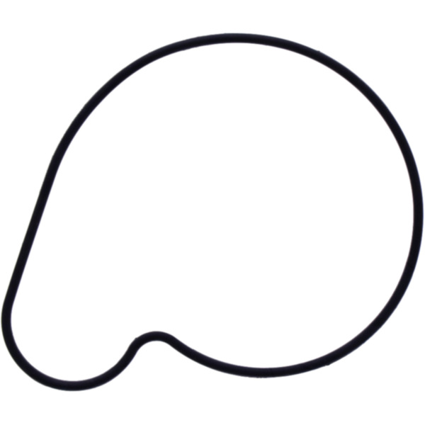 Water pump cover gasket oe spare part 1109117