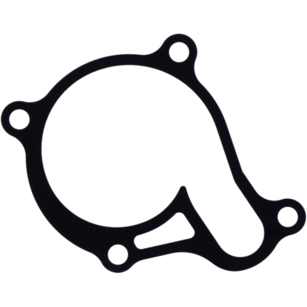 Water pump cover gasket oe spare part 1109121