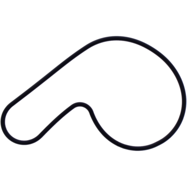 Water pump cover gasket oe spare part 1109136