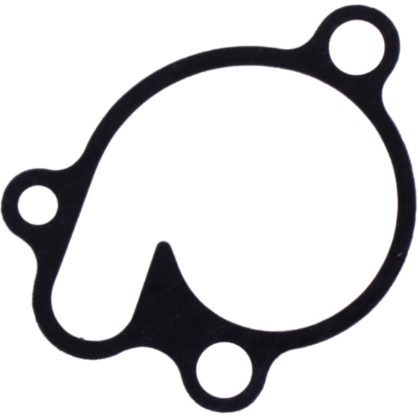 Water pump cover gasket oe spare part 1109139