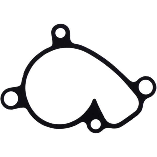 Water pump cover gasket oe spare part 1109143