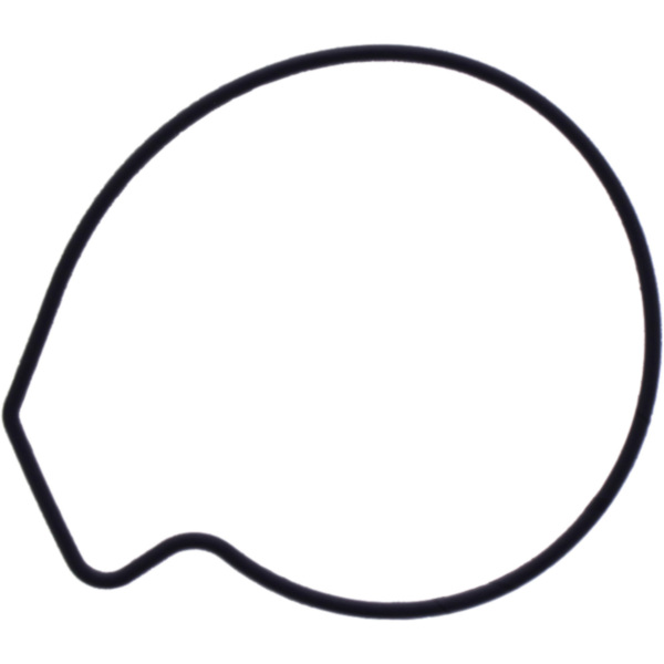Water pump cover gasket oe spare part 1109159