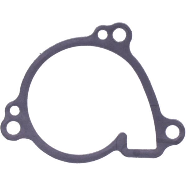 Water pump cover gasket oe spare part 1109187