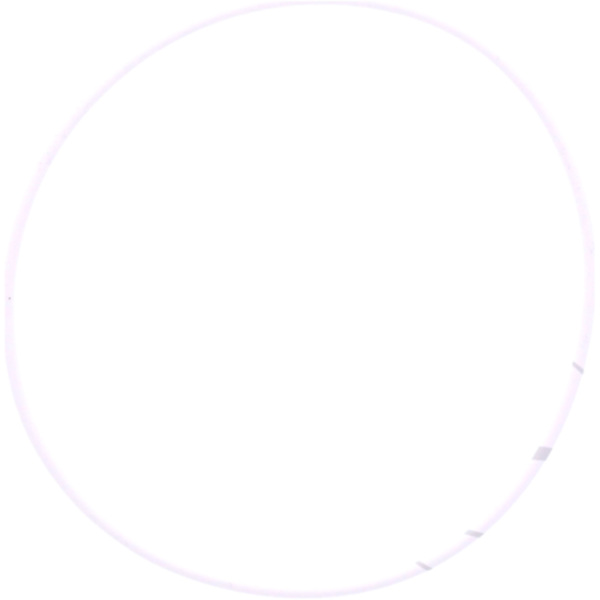O-ring 2.2x93mm athena