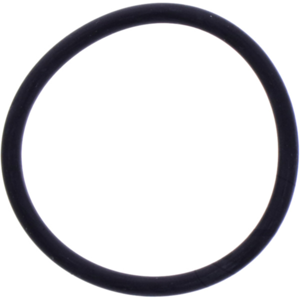 O-Ring 2.5X31MM Athena